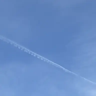 Profile image of 夏コラボメンバー