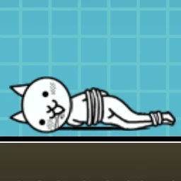 고양이 밧줄