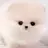 땅잼