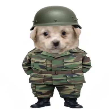 Profile image of 오석환