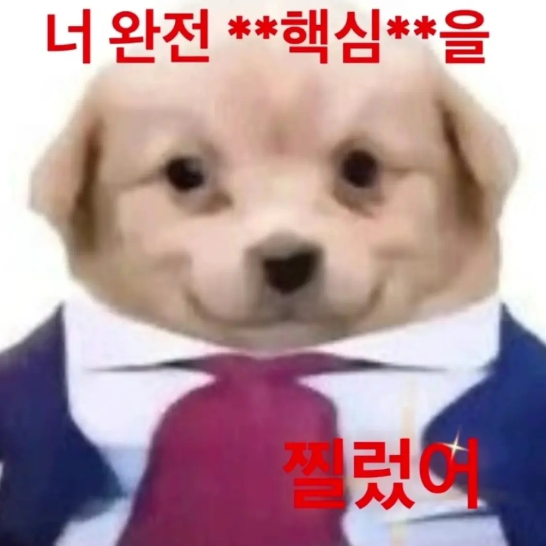 xdu4hj의 지후