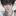 최은호