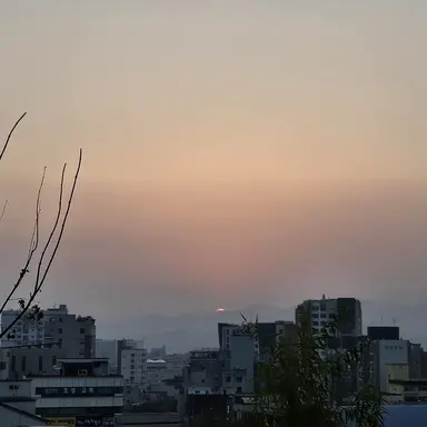 Profile image of 이수