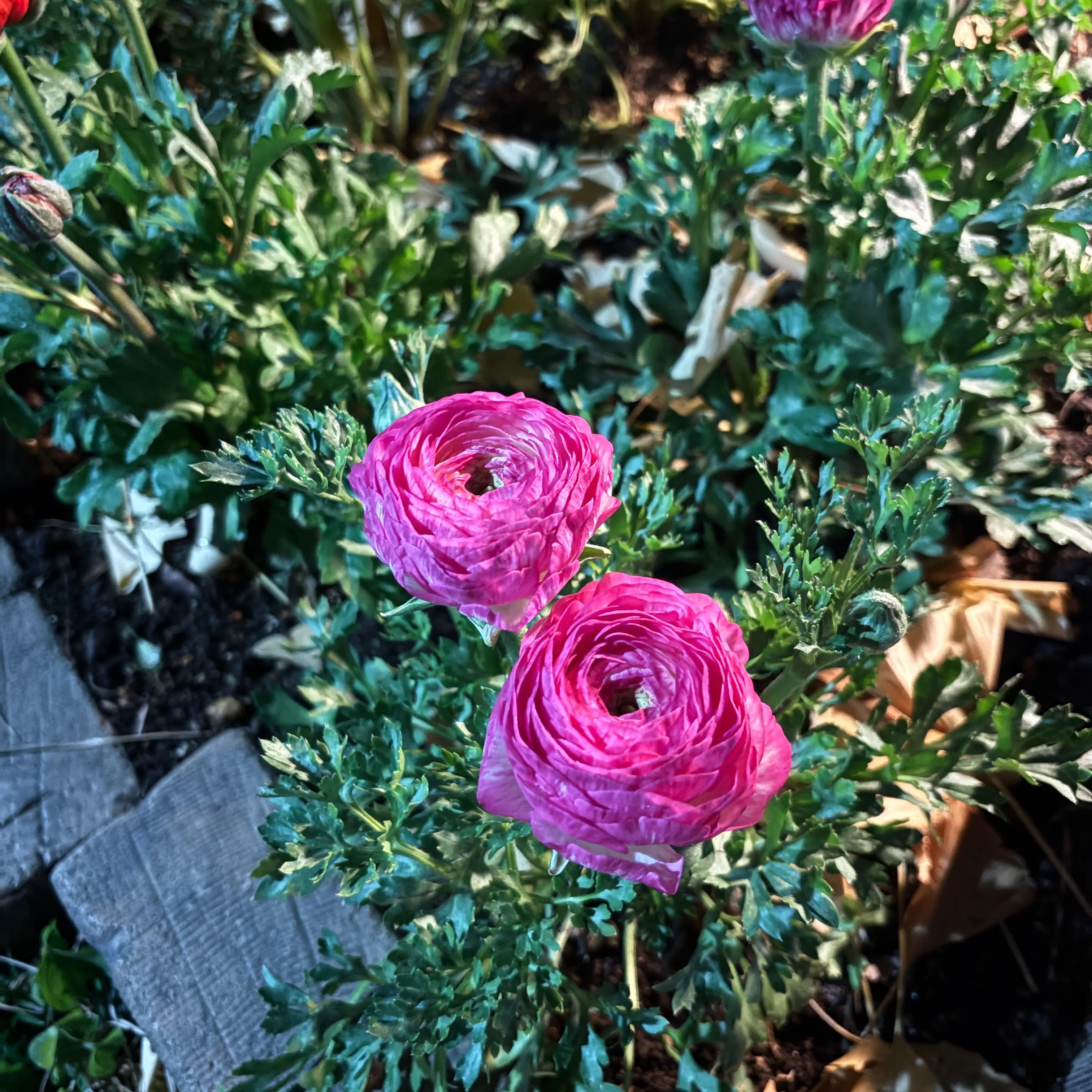 loveBoyNextdoor0530의 ㅁㅈㅎ.ver