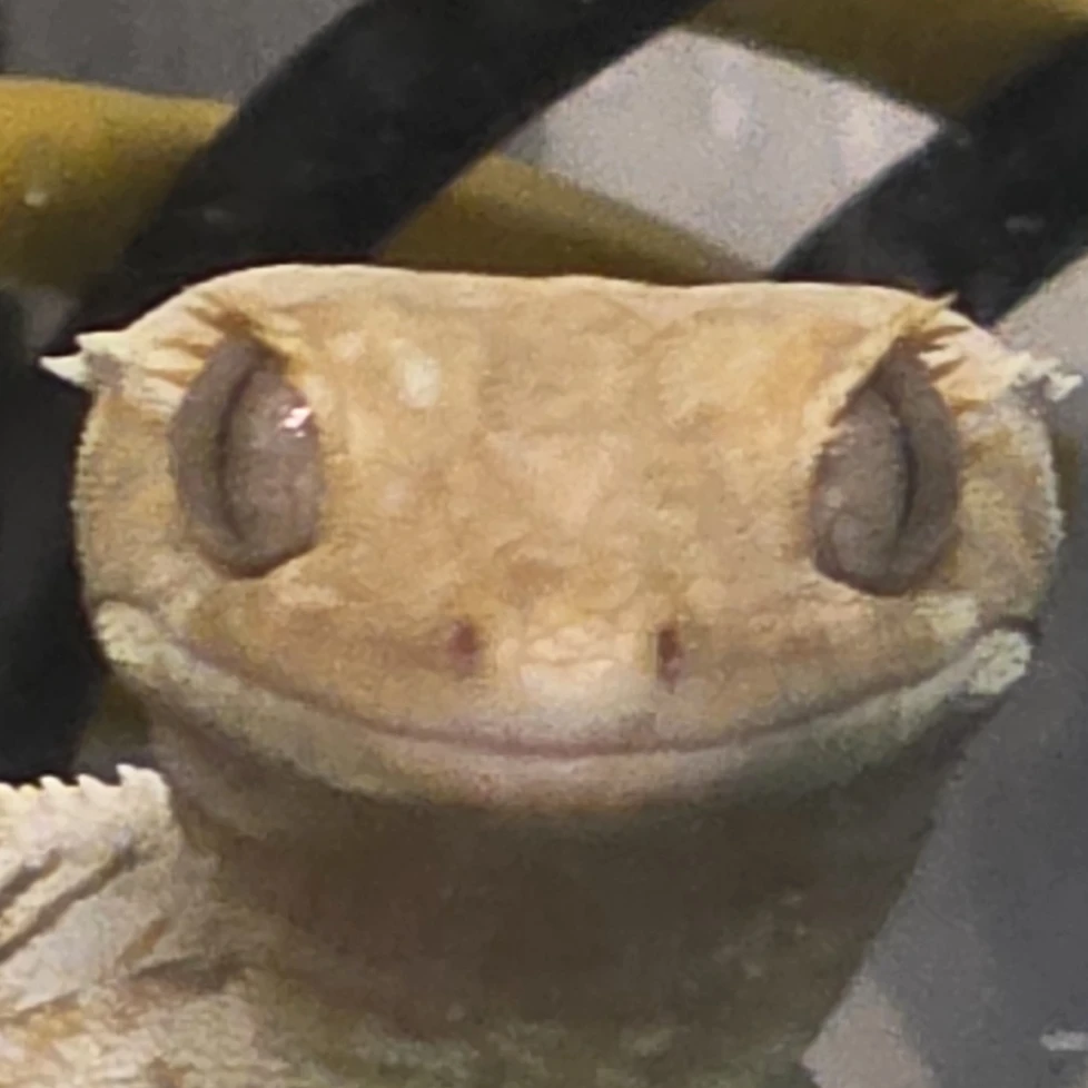크림