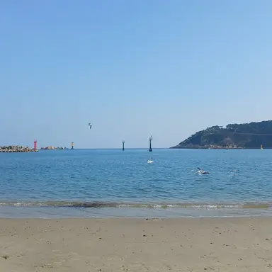 Profile image of 강림이 리온이