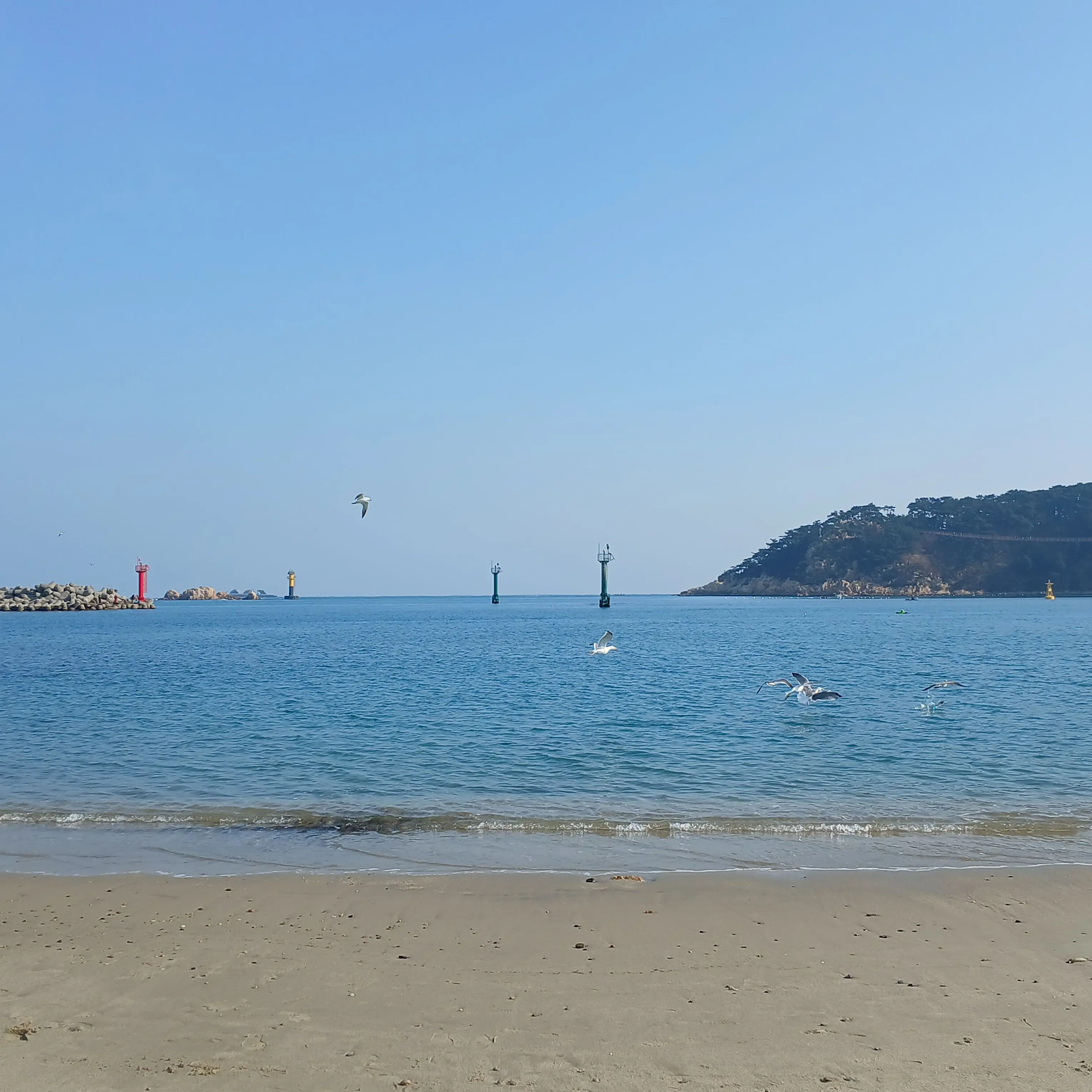 FairAnime9806의 호잇호잇