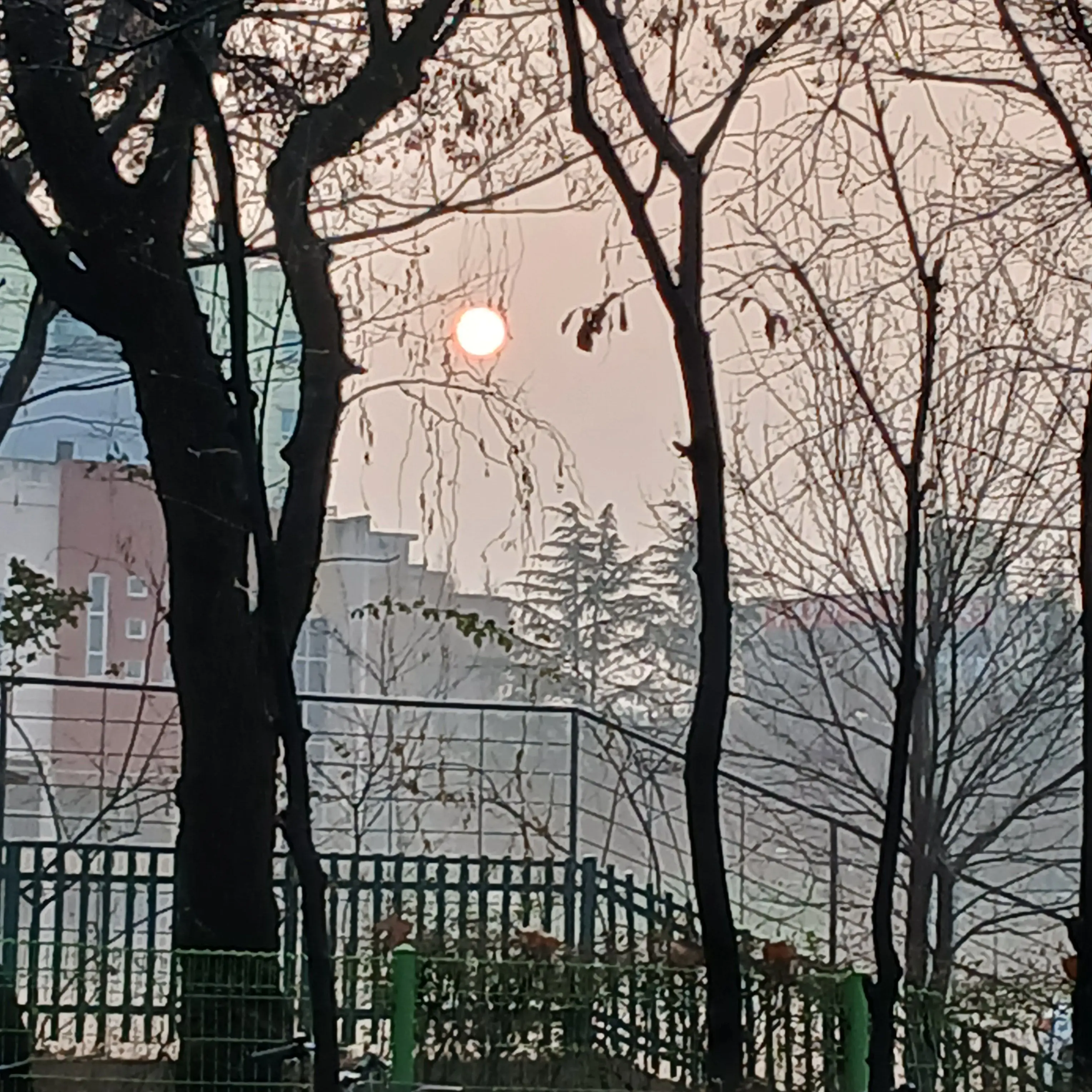 Seolbyeol의 리레볼루션