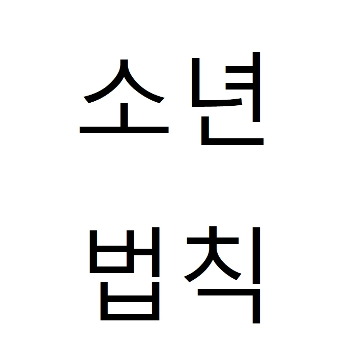 소년법칙