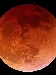 Profile image of Shockfang