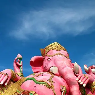 Profile image of 64番