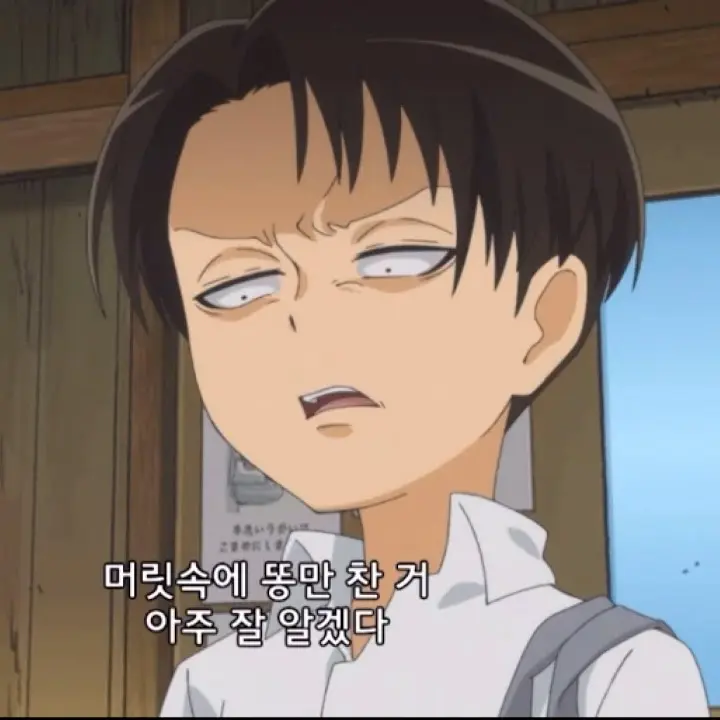 Degradation의 리바이아커만