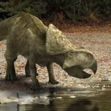 Profile image of 프로토케라톱스