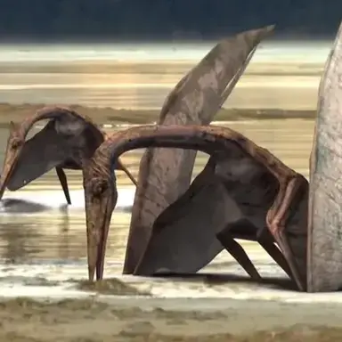 Profile image of 해남이크누스