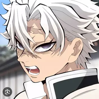 Profile image of 시나즈가와 사네미