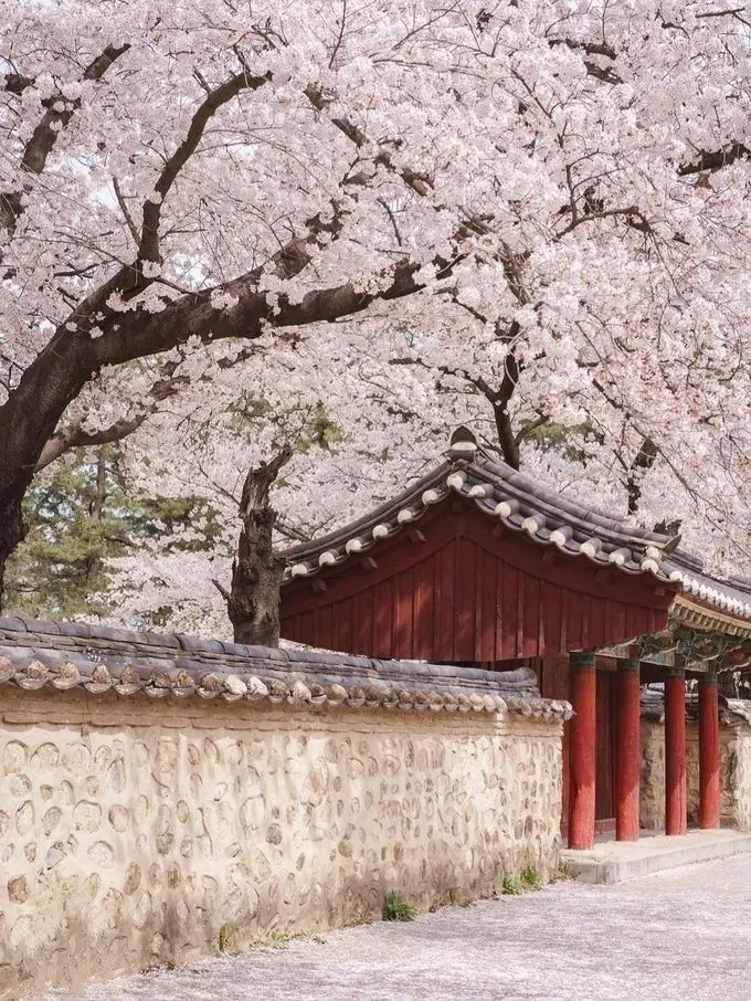 RelishWrist1698의 ‘….누구를 연모하십니까?’