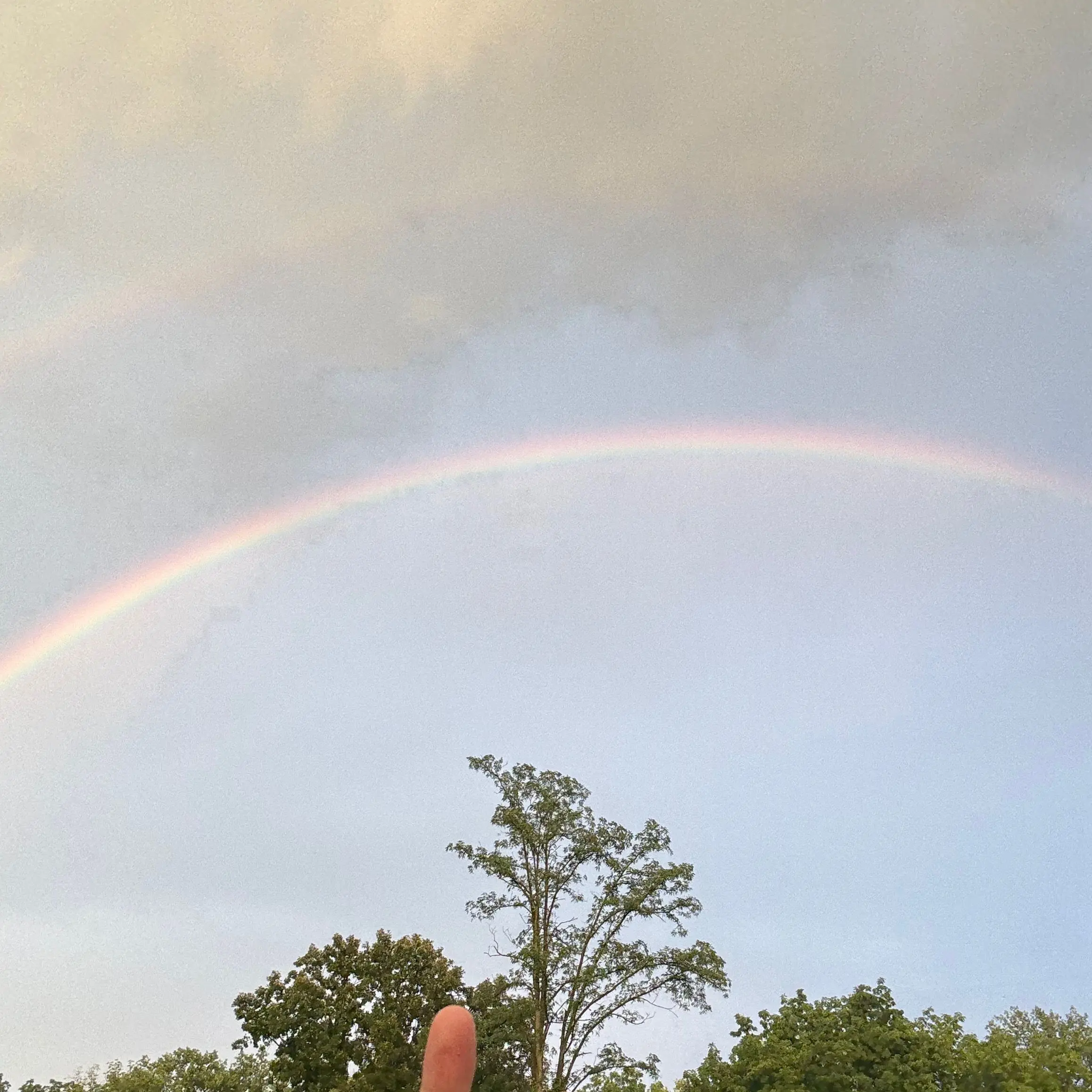 Seoyeon0512의 동현:조직보스