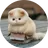 쿠루미(이미지 없어요ㅠㅠ)
