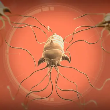 Profile image of 뇌신경 기생충