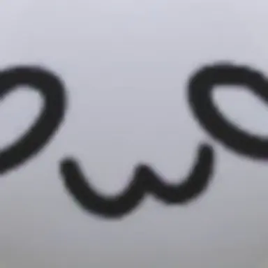 Profile image of 파르페