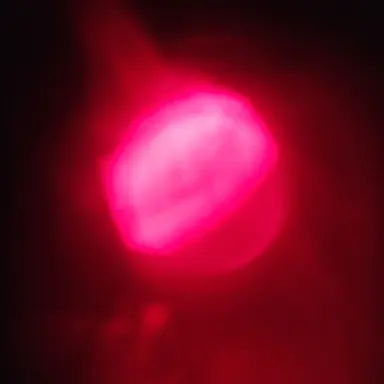 Profile image of 용안