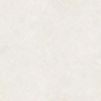 Profile image of 시나즈가와 사네미