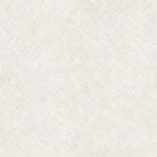 시나즈가와 사네미