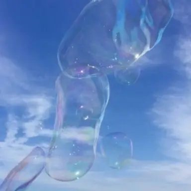 Profile image of 파이브