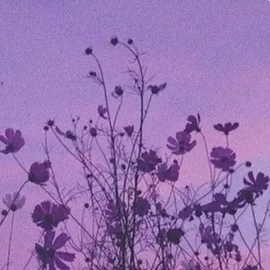 Profile image of 강세라