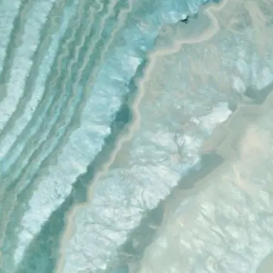 Profile image of 티푸