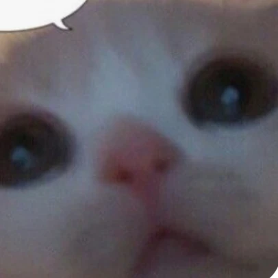 빈부
