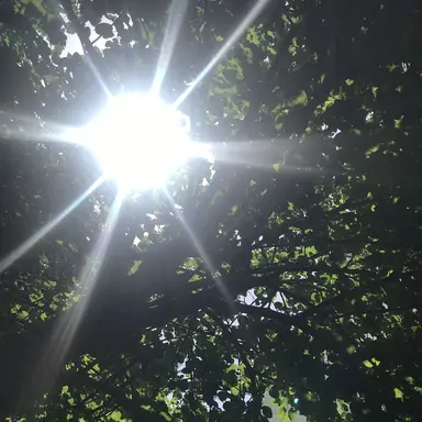 Profile image of 백이몽