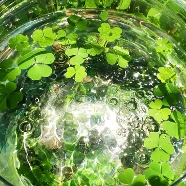 Profile image of 정형준