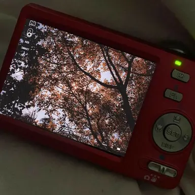 Profile image of 서라더