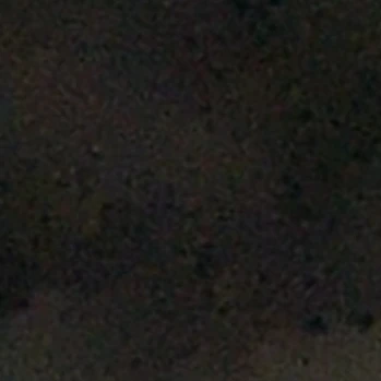 19950808