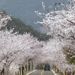 Profile image of 2p 뜰팁 여행