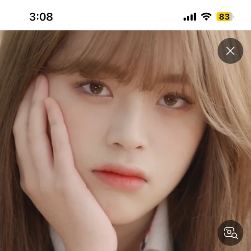 홍연