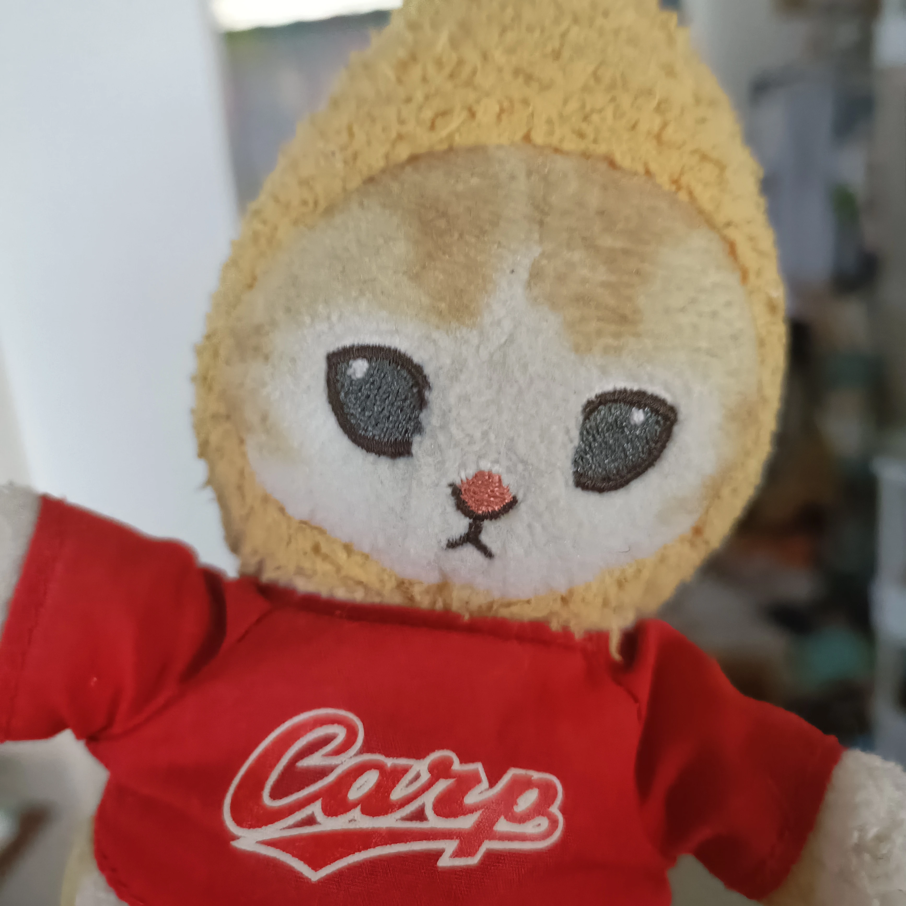 えびこちゃん