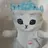 さめみちゃん