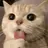 냥이