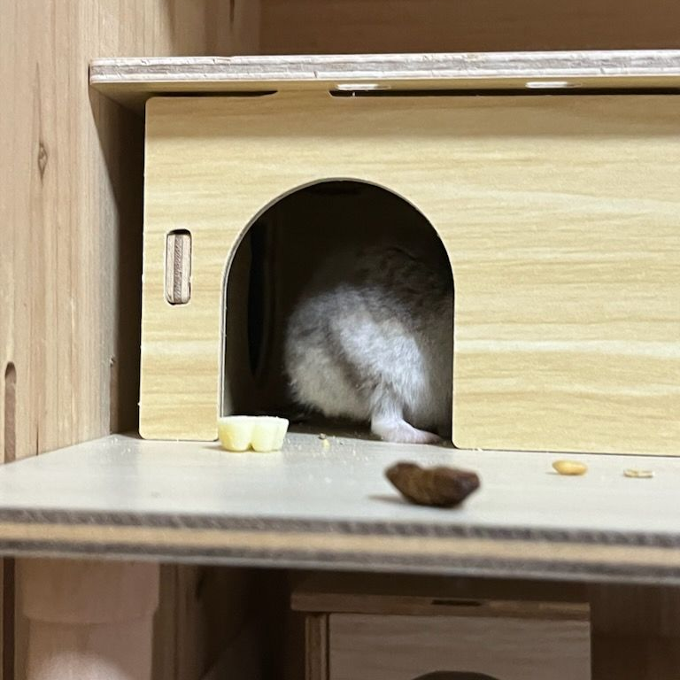 모두에게 사랑받는 겐야!(유저) 대표 이미지