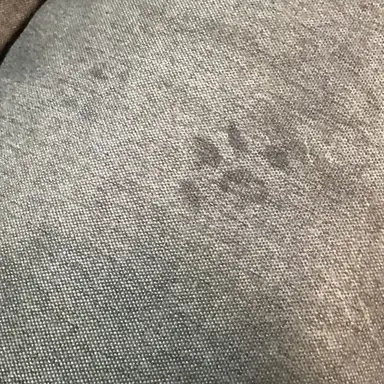 Profile image of ゲームマスター