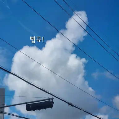 Profile image of 선생님