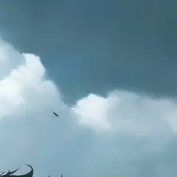 Profile image of 하지태