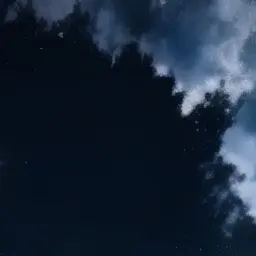 Profile image of 이태한