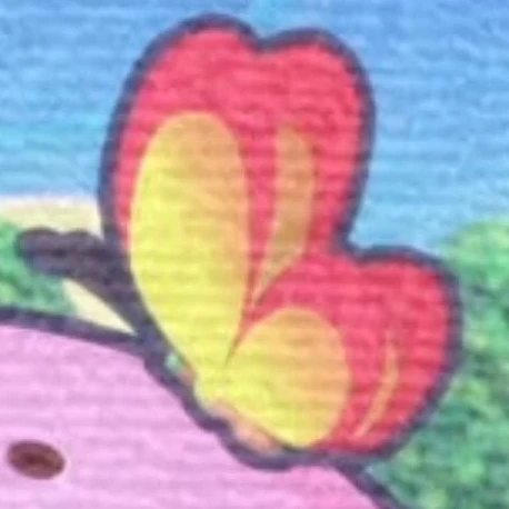 蝶