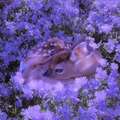 Profile image of 황수현