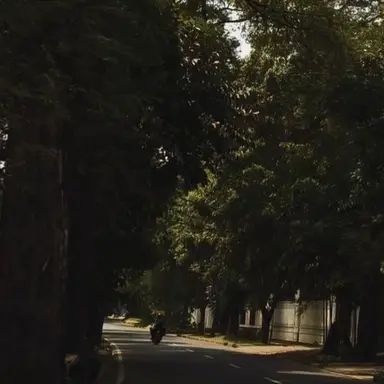 Profile image of 정공룡