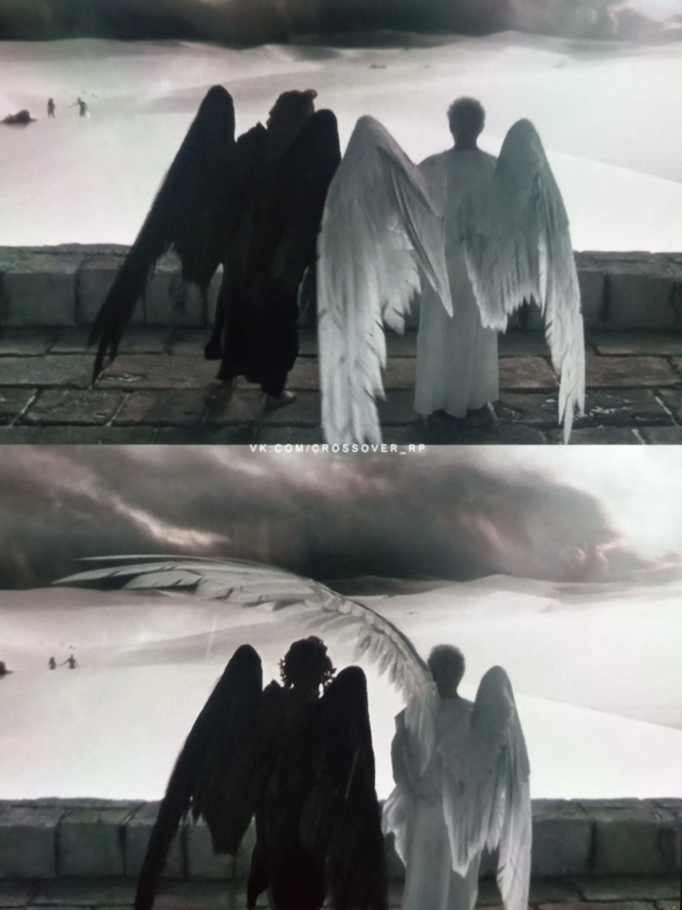 GreedyBerry1558의 Wings on the Edge