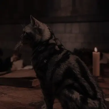Profile image of Minerva McGonagall